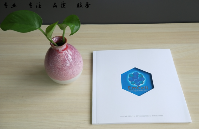 定制畫冊